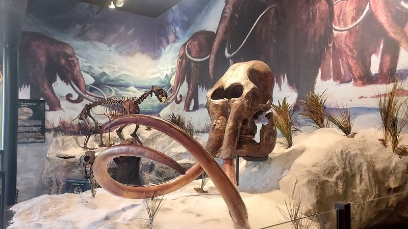 Prehistoric Wonders That Stop You in Your Tracks