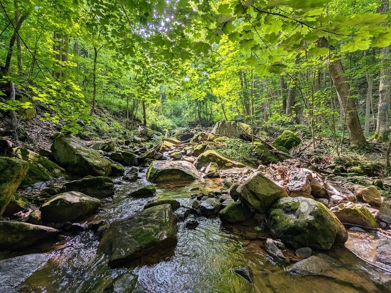 Preserve That Changes How You Think About New Jersey Preserve That Changes How You Think About New Jersey