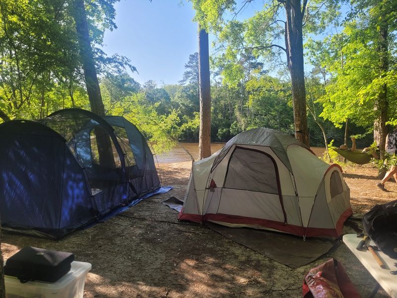 Primitive Camping In A Forest That Feels Genuinely Remote