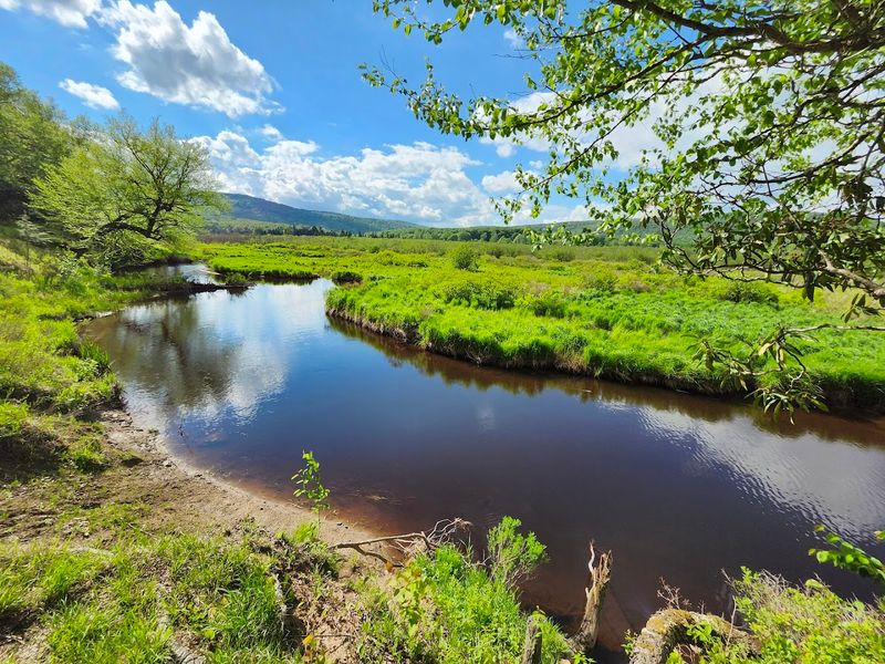 Proximity to Blackwater Falls and Canaan Valley State Parks