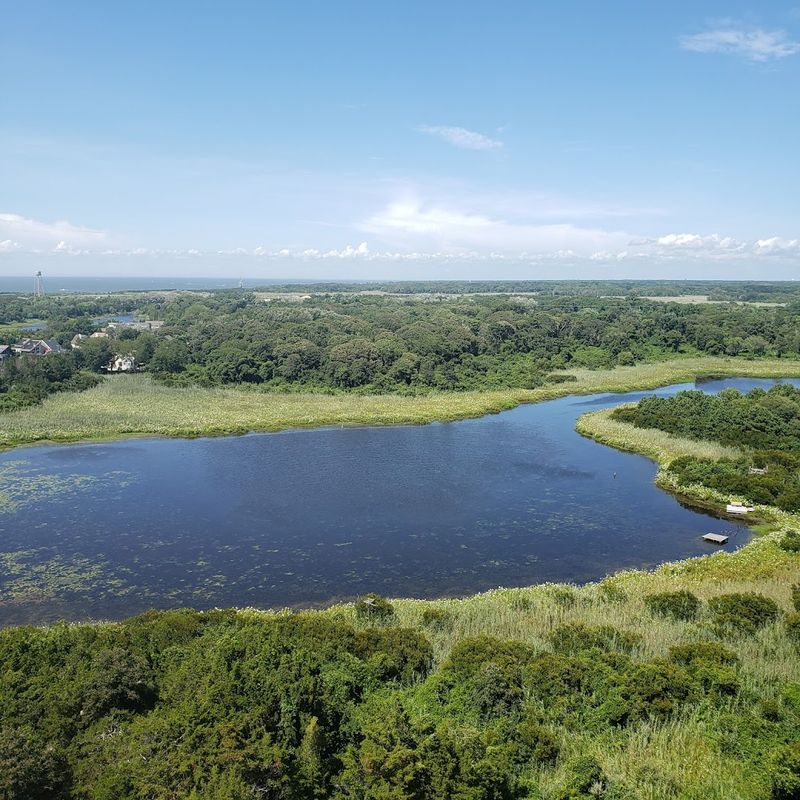 Proximity to Nature and Wildlife That Feeds the Soul
