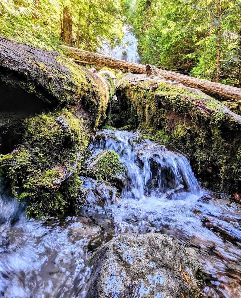 Proxy Falls Swimming Area, Three Sisters Wilderness, Oregon