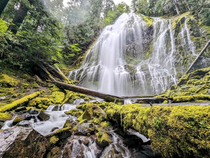 Proxy Falls Swimming Hole, Three Sisters Wilderness, Oregon