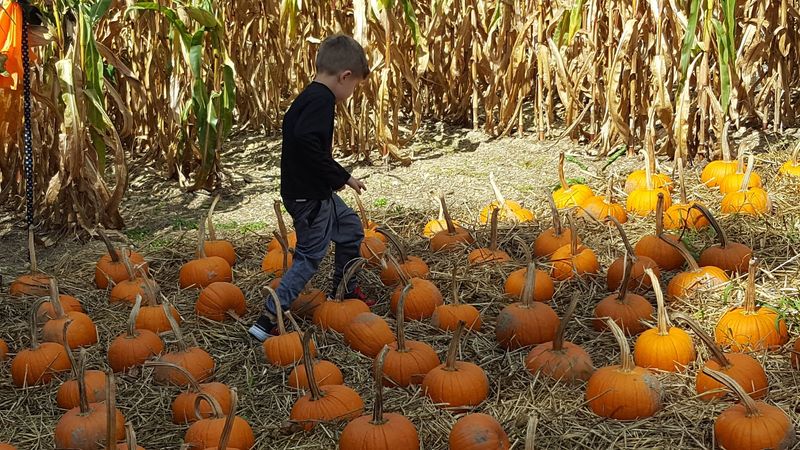 Pumpkin Season Like Nowhere Else