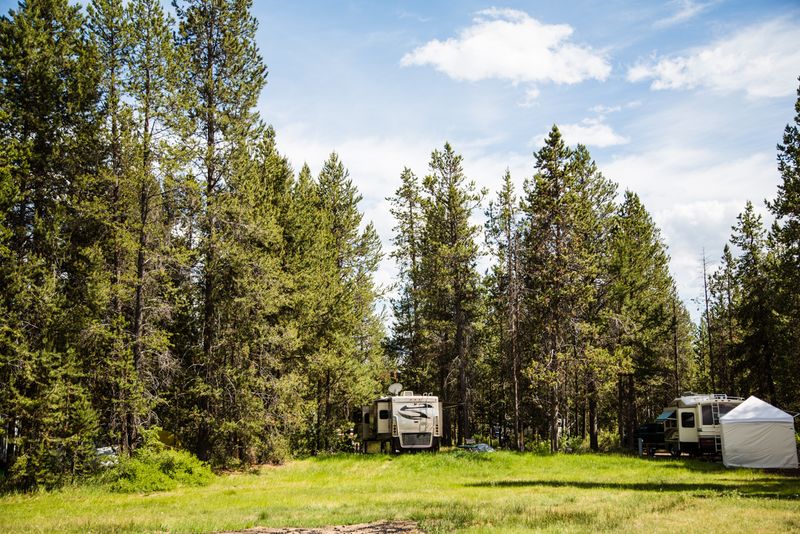 RV Sites Nestled Deep in the Forest