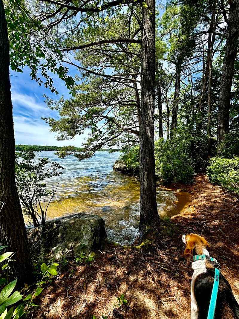 Ragged Island Conservation Area, Lake Winnipesaukee Ragged Island Conservation Area, Lake Winnipesaukee