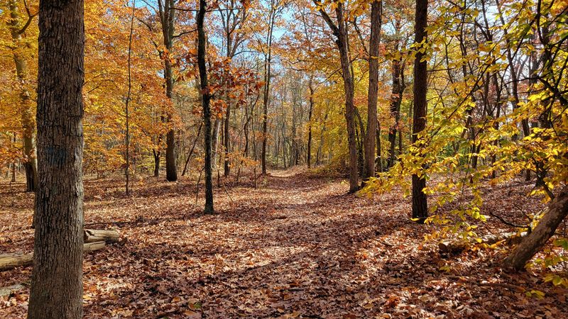 Rancocas State Park Creekside Trail Loop Rancocas State Park Creekside Trail Loop