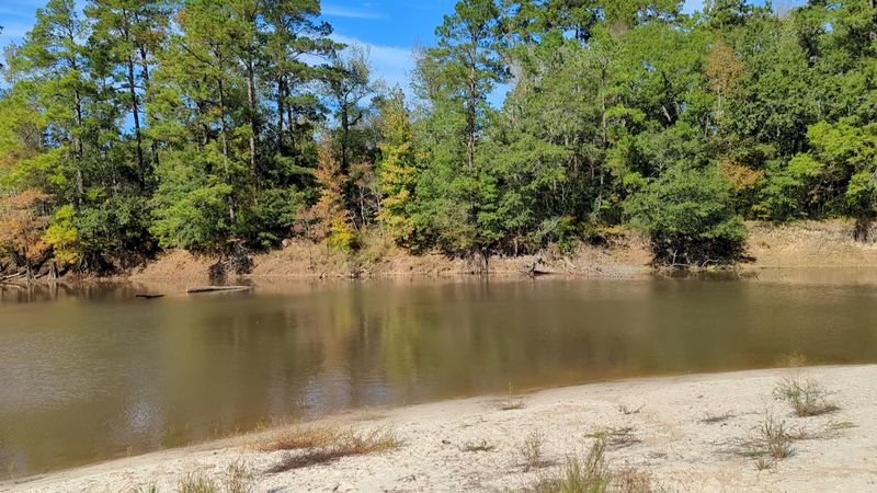 Rare Ecosystems You Would Not Expect In Southeast Texas