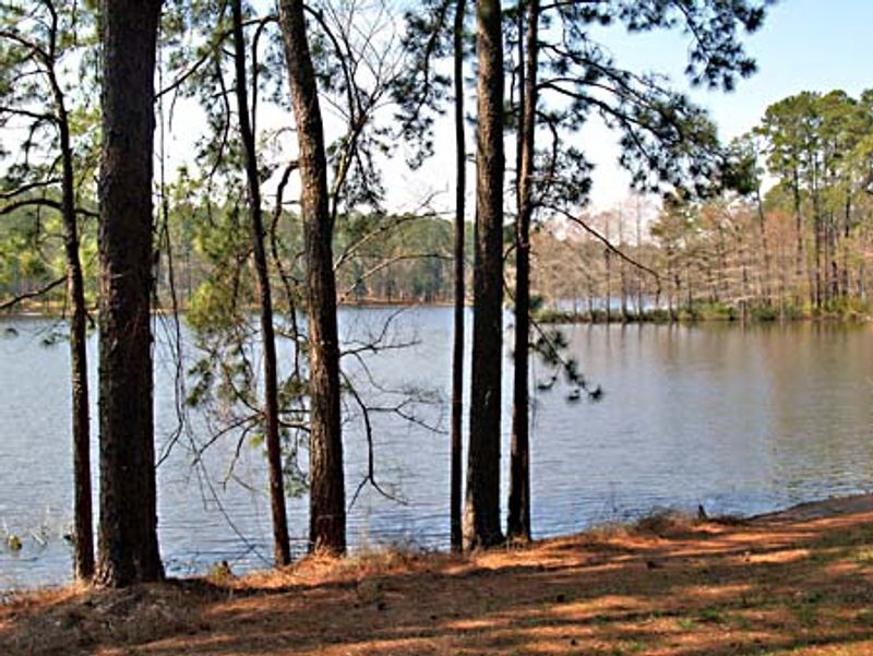 Ratcliff Lake Recreation Area: The Perfect Starting Point for Any Adventure Ratcliff Lake Recreation Area: The Perfect Starting Point for Any Adventure