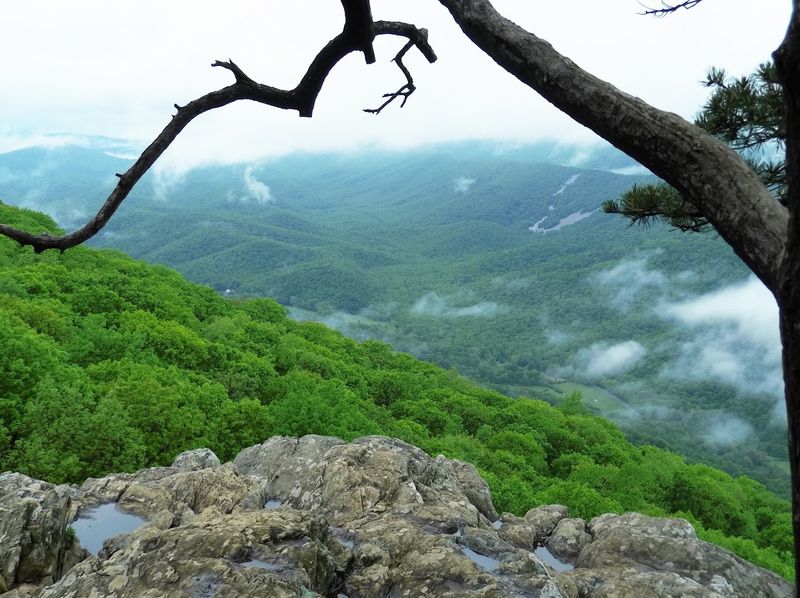 Ravens, Eagles, And The Wild Things That Call This Cliff Home Ravens, Eagles, And The Wild Things That Call This Cliff Home