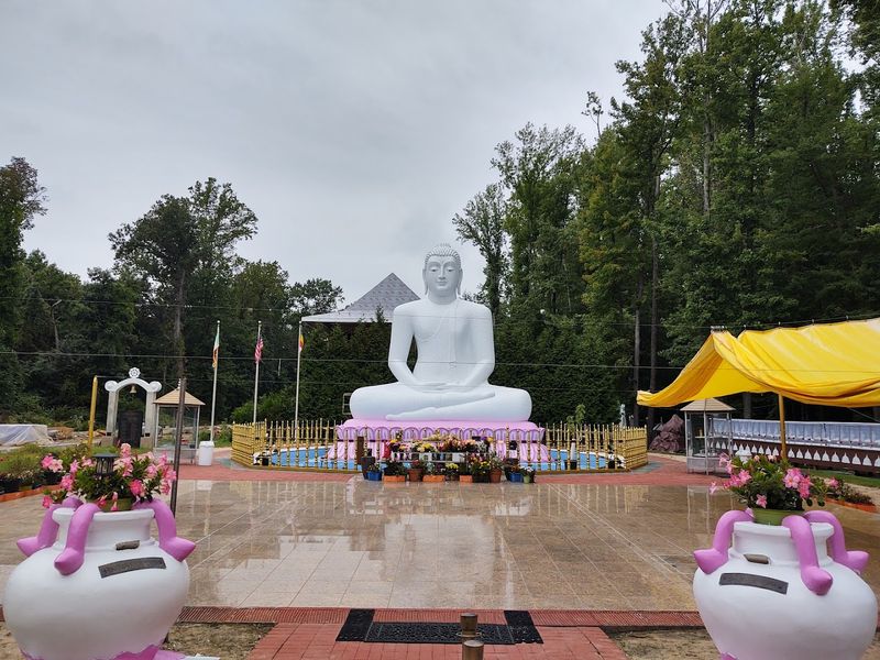 Removing Your Shoes Before the Statue