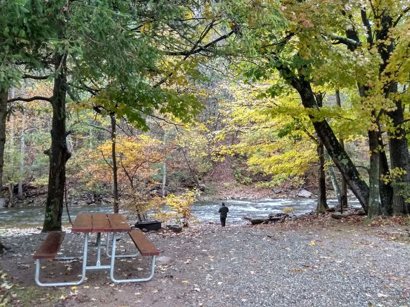 Revelle's River Resort Revelle's River Resort