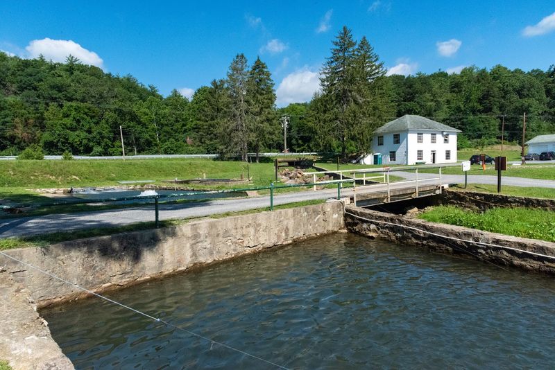 Ridge State Fish Hatchery Ridge State Fish Hatchery