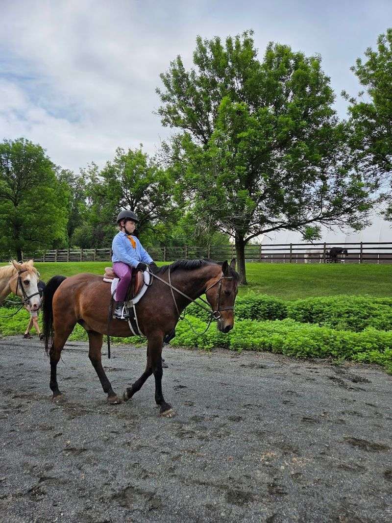 Riding Lessons for Every Skill Level Riding Lessons for Every Skill Level