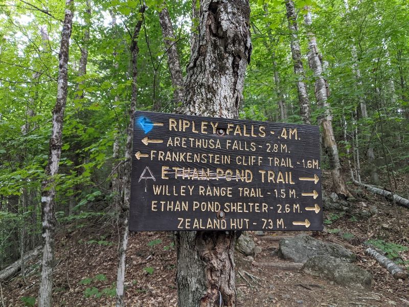 Ripley Falls, Crawford Notch