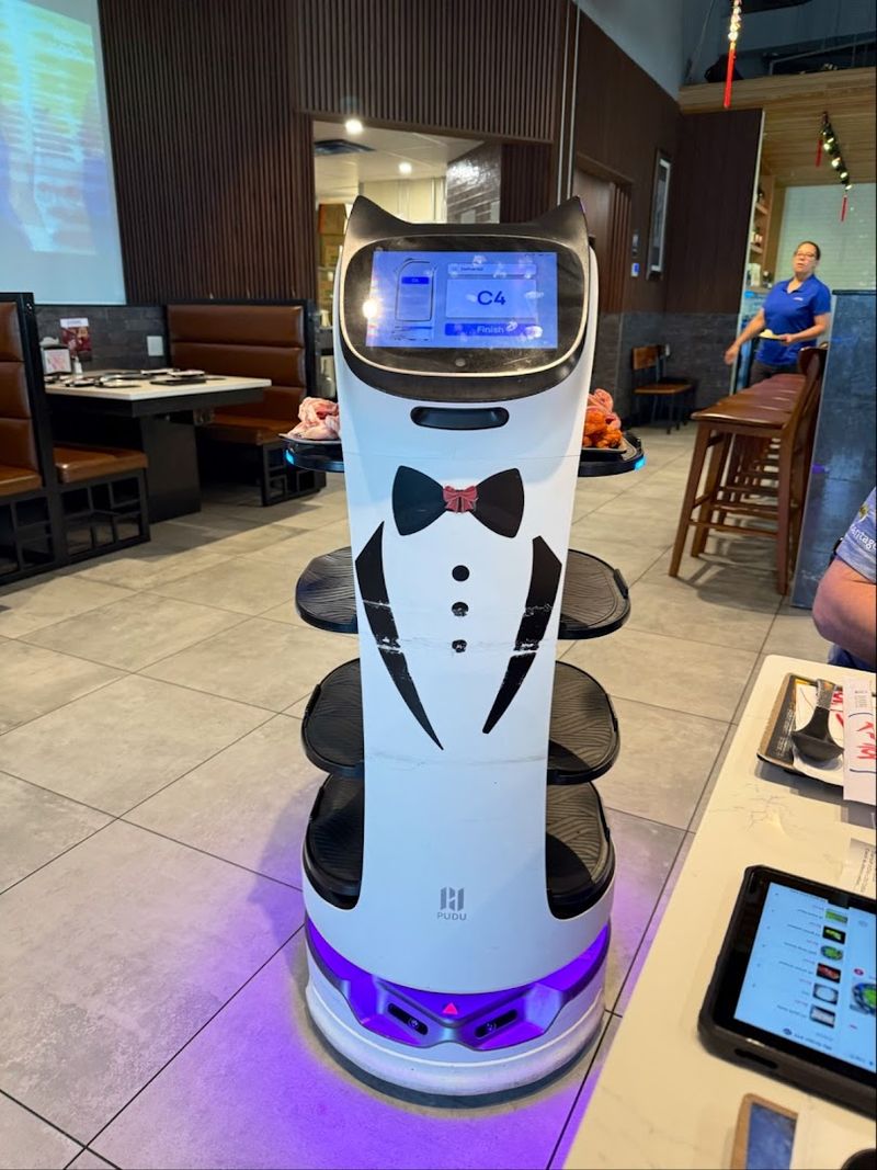 Robot Food Delivery That Steals the Show