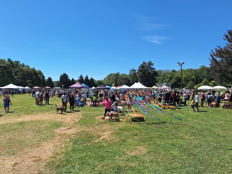 Rock, Ribs & Ridges Festival