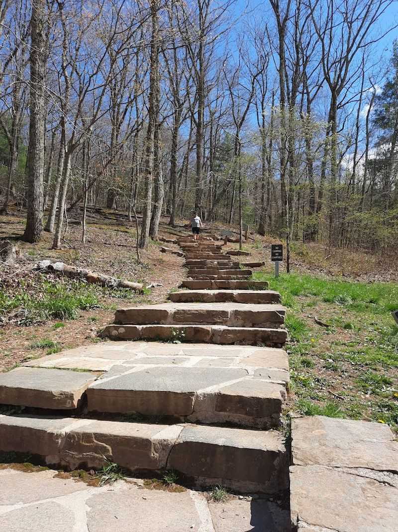 Rock Stairs Everywhere and Why Hikers Actually Love Them