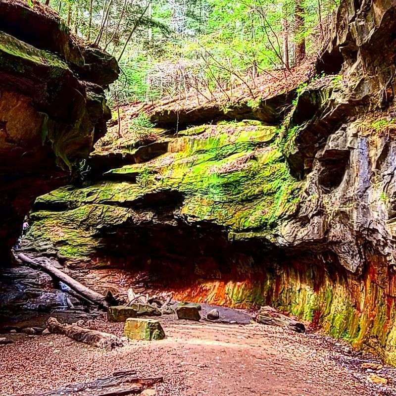 Rocky Hollow-Falls Canyon Nature Preserve (Trail 3) - Turkey Run State Park