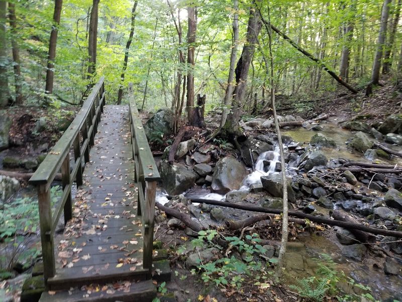Rocky Trails That Demand Your Full Attention Rocky Trails That Demand Your Full Attention