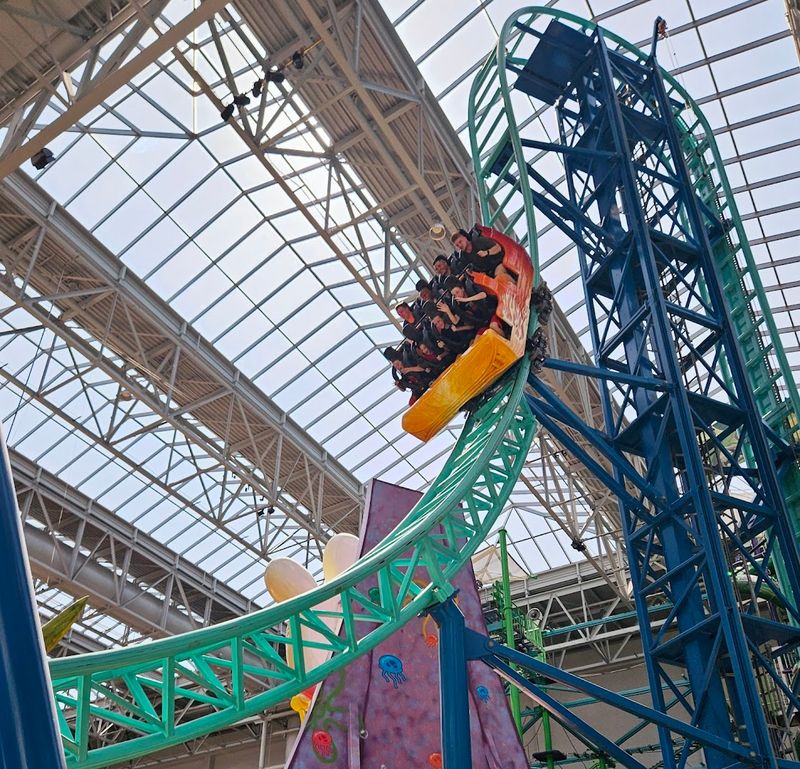 Roller Coasters That Actually Deliver Thrills Indoors Roller Coasters That Actually Deliver Thrills Indoors