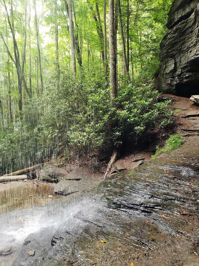 Roots Rocks And Just Enough Adventure Roots Rocks And Just Enough Adventure