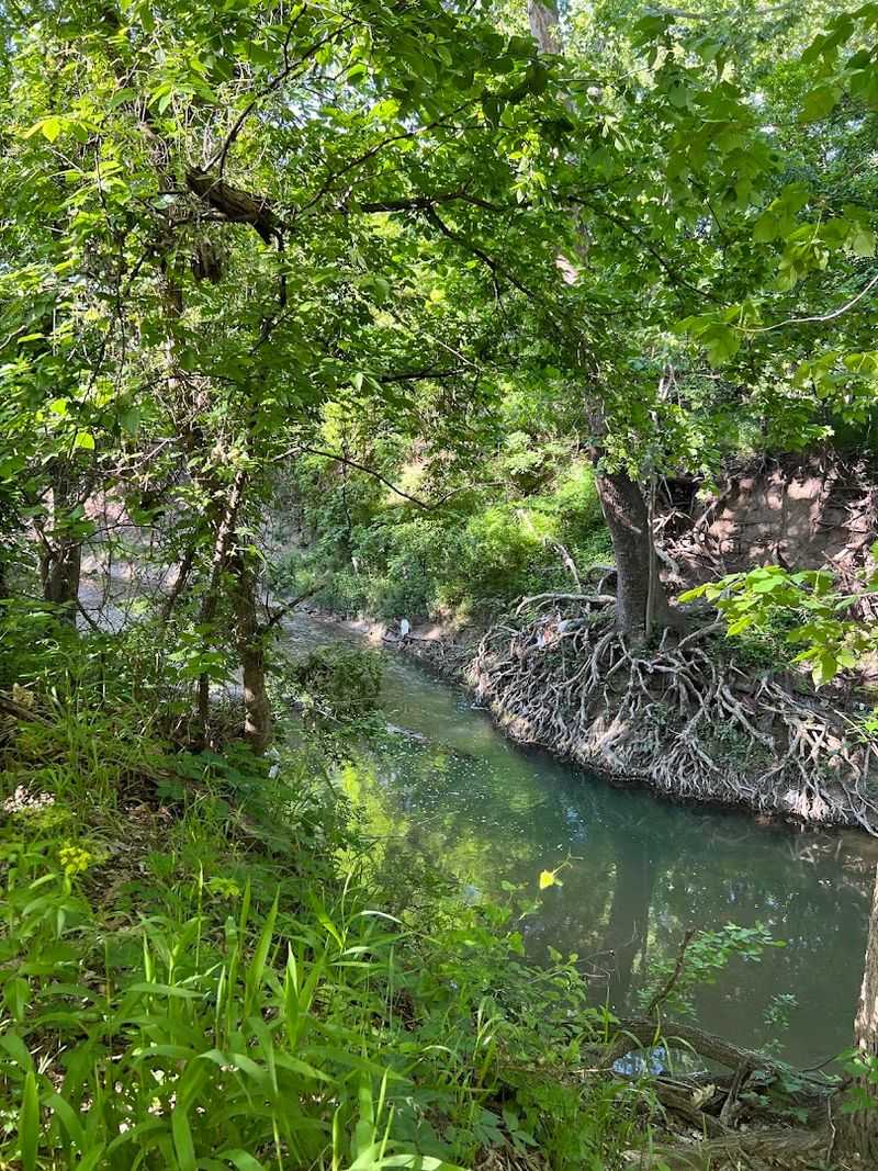 Rowlett Creek, the Northern Border That Adds a Whole Different Feel