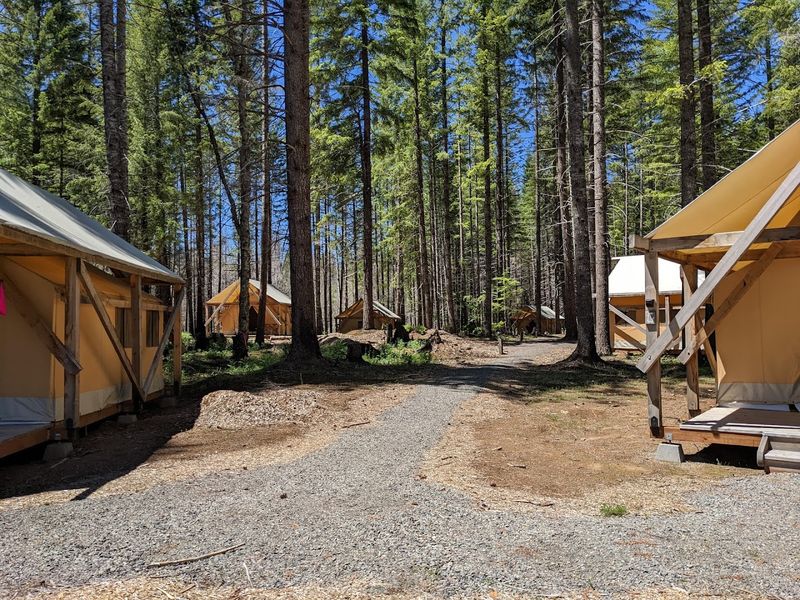 Rustic Cabins, Yurts, and Grove Rooms: Where You Actually Sleep