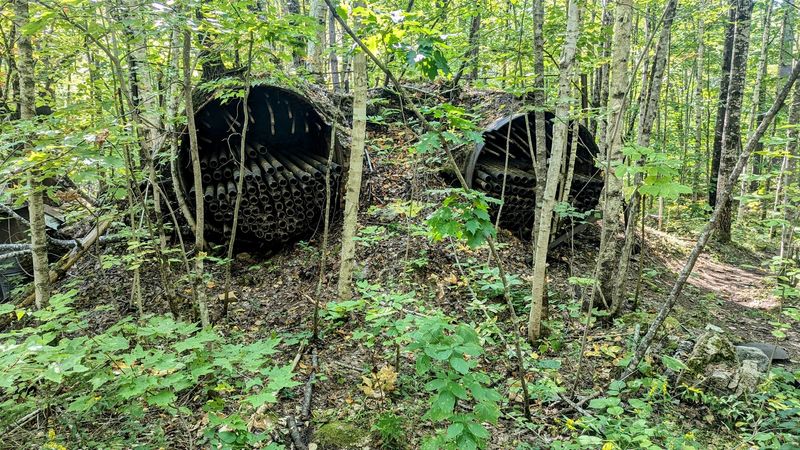 Rusting Coal-Fired Boilers Hiding in the Woods Rusting Coal-Fired Boilers Hiding in the Woods