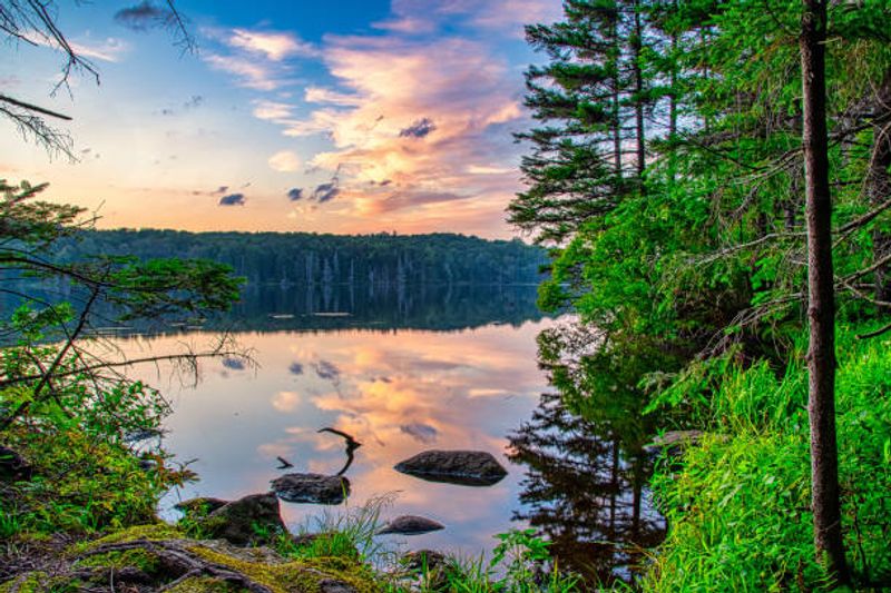 Sabine National Forest