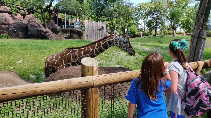 Saint Louis Zoo, Forest Park, St. Louis