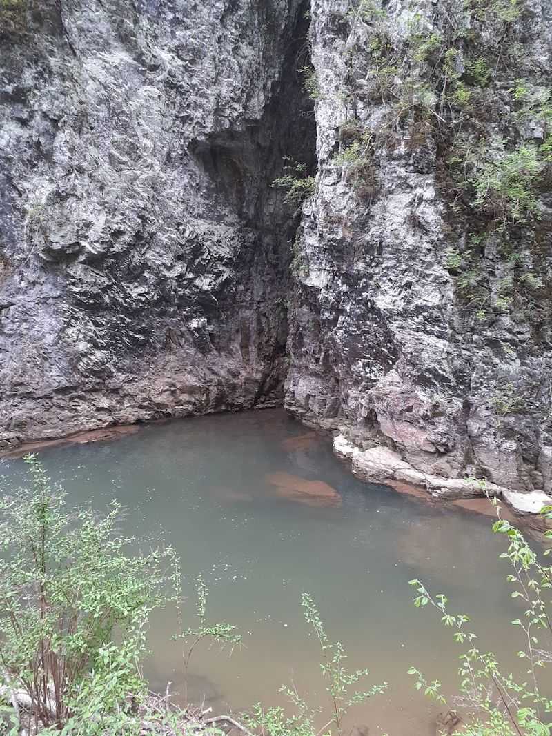 Saltpeter Cave and the Underground Curiosity Beneath the Ridge