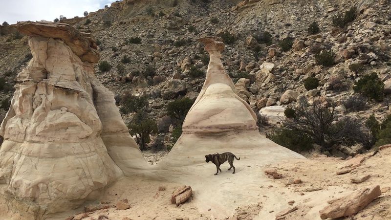 San Ysidro Anticline and What Makes It a Geological Wonder