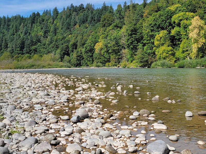 Sandy River, Oxbow Regional Park, Oregon
