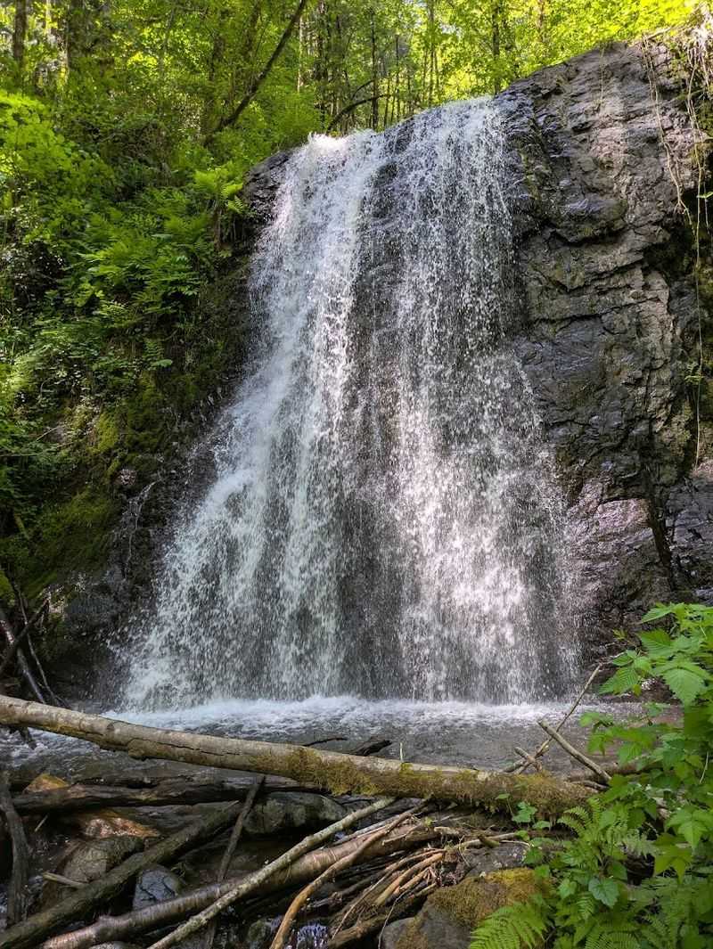 Sawmill Falls, Quartzville Creek, Oregon