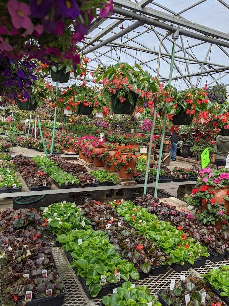 Schmucker's Produce Farm and Greenhouse Schmucker's Produce Farm and Greenhouse