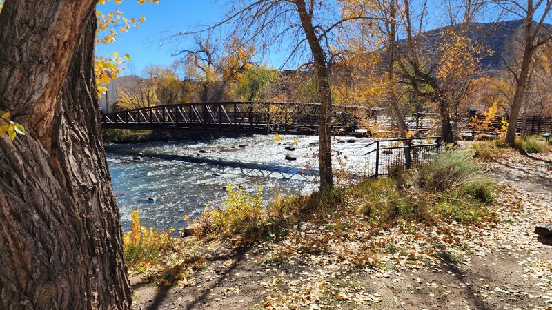 Schneider Park Along The Animas Schneider Park Along The Animas