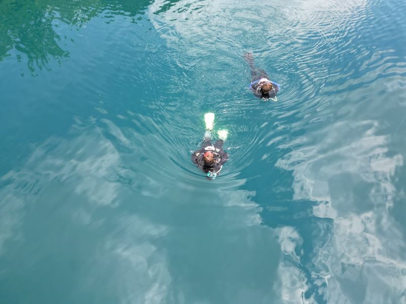 Scuba Diving for Every Skill Level, From Beginners to Certified Pros