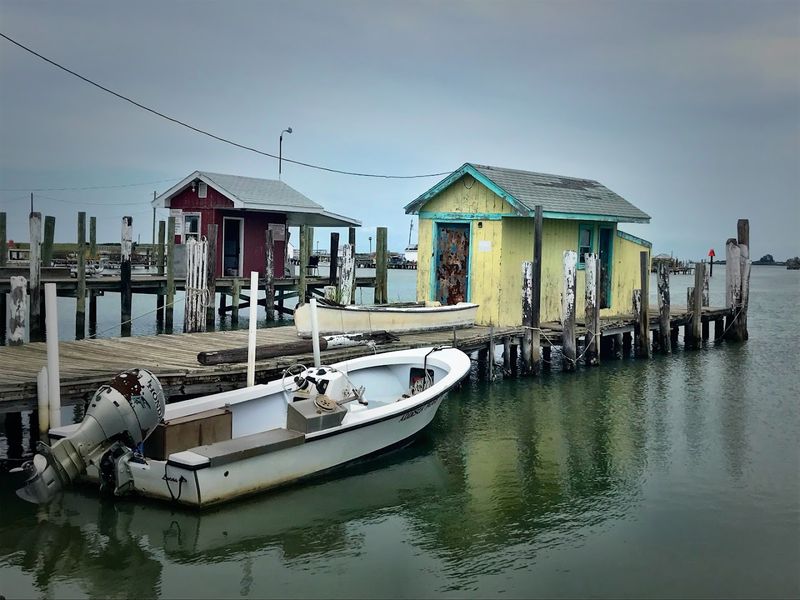 Seafood Restaurants and the Freshest Catch You Will Ever Taste Seafood Restaurants and the Freshest Catch You Will Ever Taste