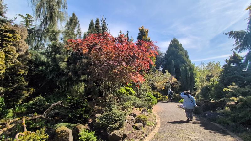 Seasonal Beauty That Keeps Pulling You Back