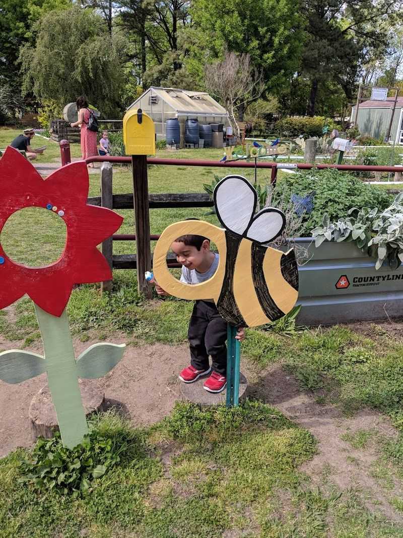 Seasonal Events and Community Spirit That Set This Place Apart