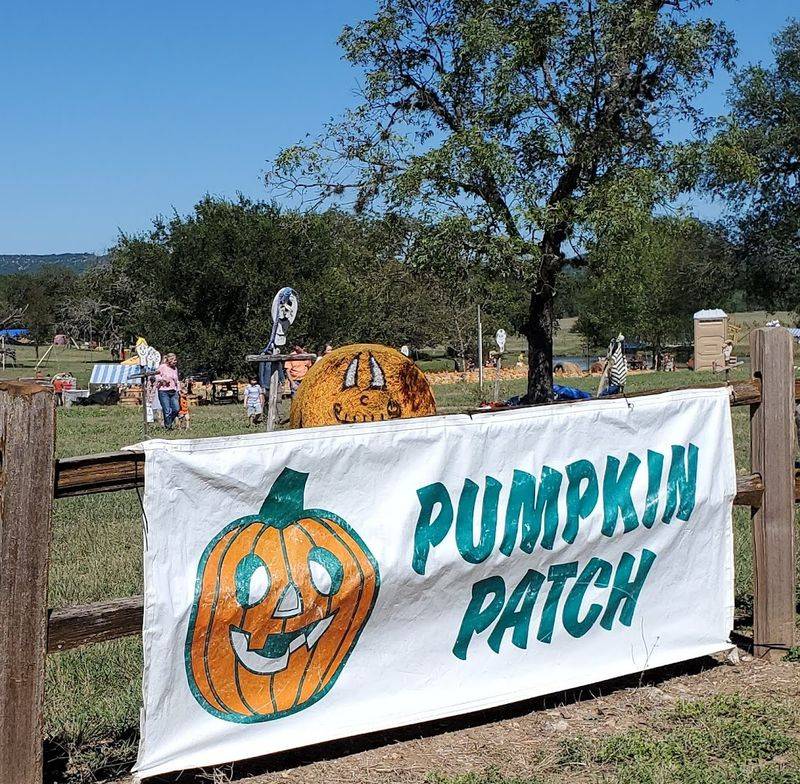 Seasonal Events and the Great Hill Country Pumpkin Patch