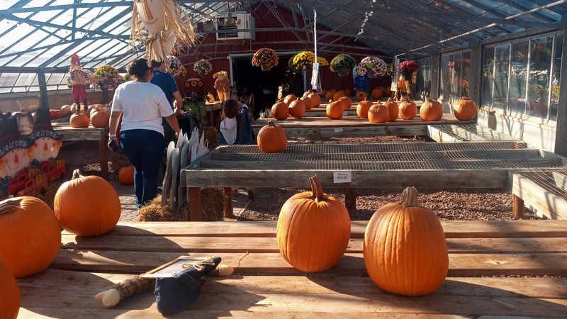 Seasonal Events for the Whole Family