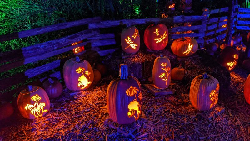 Seasonal Festivals Transform the Park Into Something Entirely New Seasonal Festivals Transform the Park Into Something Entirely New