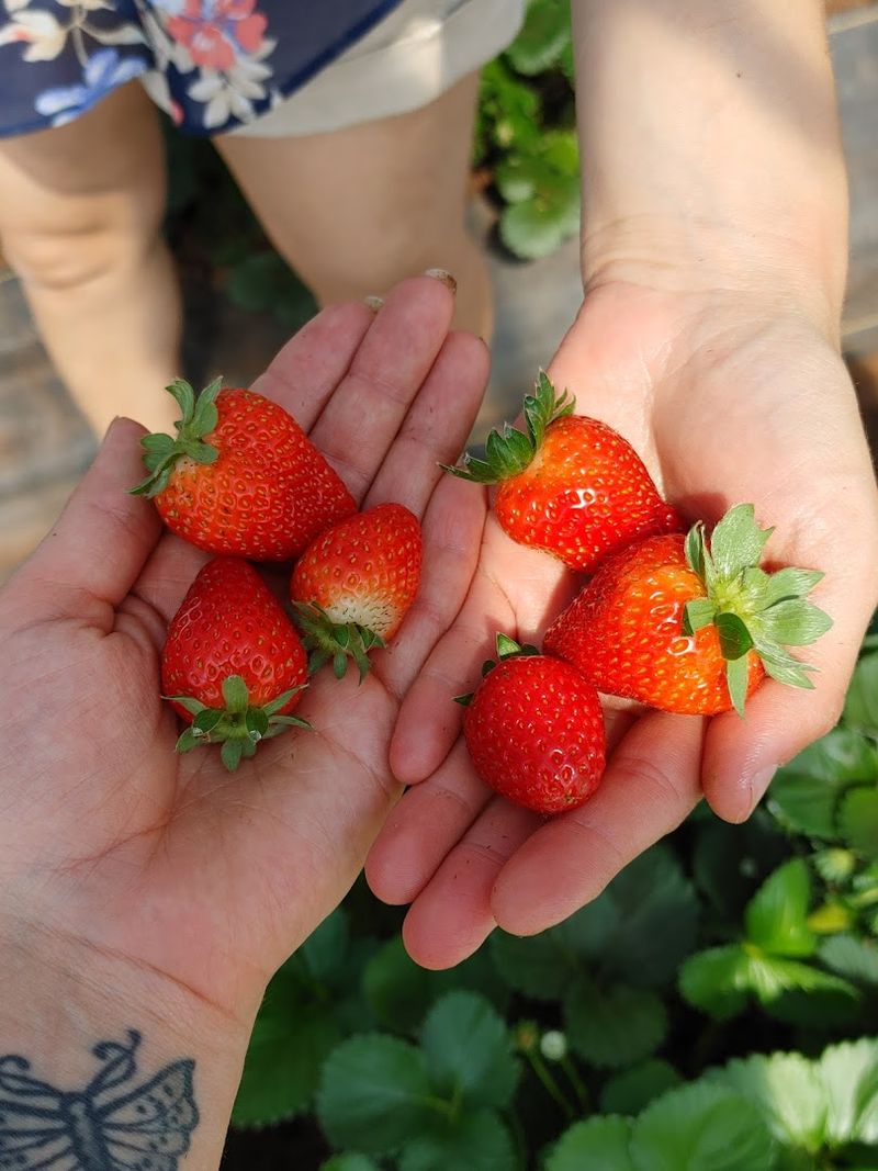Seasonal Produce Makes Every Visit Unique