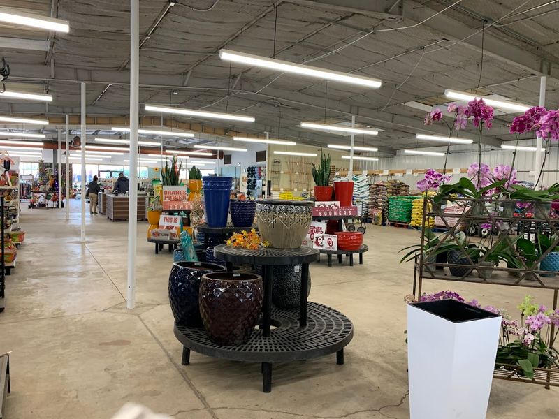 Seasonal Sales and Events That Reward Regular Visitors