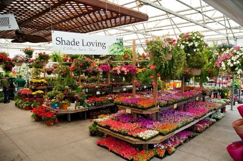 Seasonal Stock Keeps Every Visit Fresh