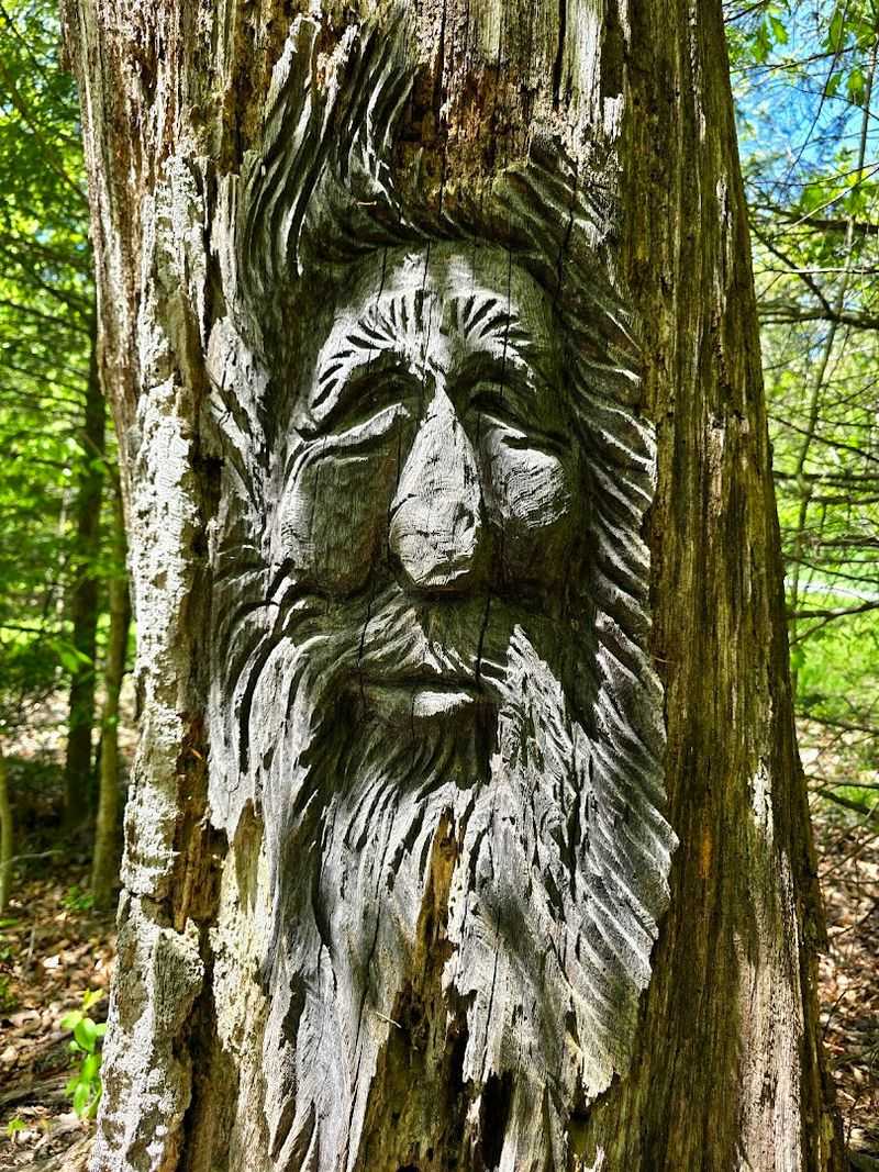 Seven Trails Through Wetlands, Meadows, and Ancient Hemlock Forest