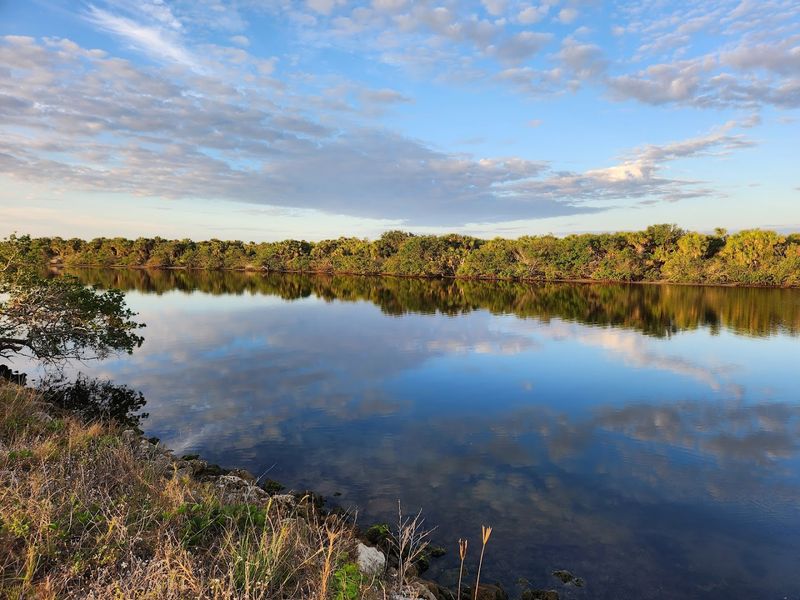 Shamrock Park And Nature Center
