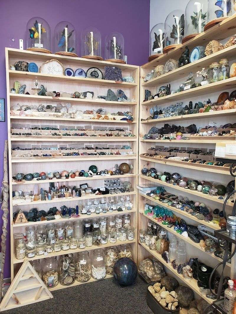 Shelves That Reward Slow Looking Shelves That Reward Slow Looking